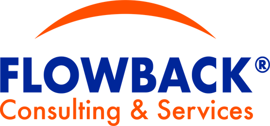Logo Flowback Consulting & Services