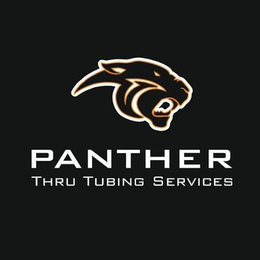 Logo Panther Thru Tubing Services
